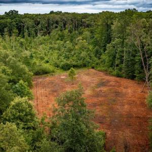 Photo #18 of RITCHIE RD, MIDLAND, VA 30.0 acres