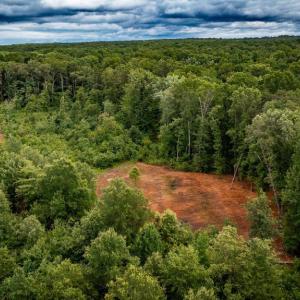 Photo #19 of RITCHIE RD, MIDLAND, VA 30.0 acres