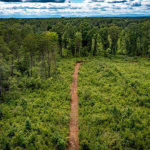 Photo #20 of RITCHIE RD, MIDLAND, VA 30.0 acres