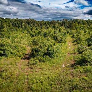 Photo #28 of RITCHIE RD, MIDLAND, VA 30.0 acres