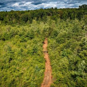 Photo #29 of RITCHIE RD, MIDLAND, VA 30.0 acres