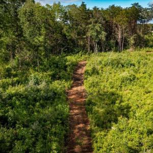Photo #30 of RITCHIE RD, MIDLAND, VA 30.0 acres