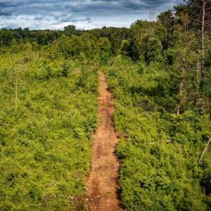 Photo #31 of RITCHIE RD, MIDLAND, VA 30.0 acres