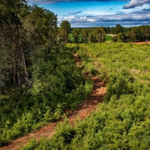 Photo #32 of RITCHIE RD, MIDLAND, VA 30.0 acres