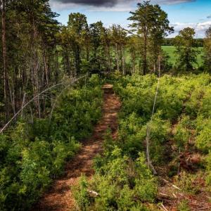 Photo #33 of RITCHIE RD, MIDLAND, VA 30.0 acres