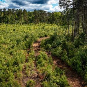 Photo #34 of RITCHIE RD, MIDLAND, VA 30.0 acres