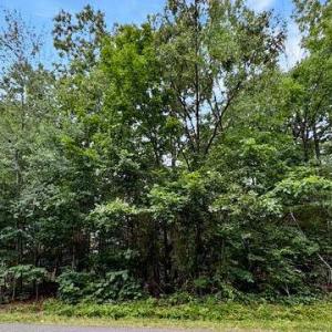 Photo #1 of 604 YORKTOWN BLVD, LOCUST GROVE, VA 0.4 acres