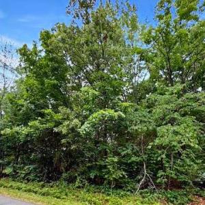 Photo #2 of 604 YORKTOWN BLVD, LOCUST GROVE, VA 0.4 acres