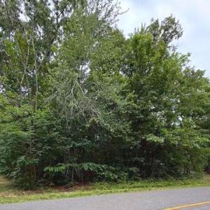 Photo #3 of 604 YORKTOWN BLVD, LOCUST GROVE, VA 0.4 acres