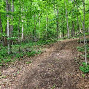 Photo #13 of COMPTONS RD, CASTLETON, VA 5.4 acres