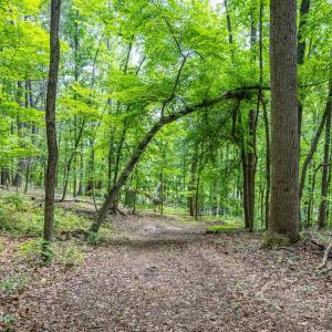 Photo #15 of COMPTONS RD, CASTLETON, VA 5.4 acres