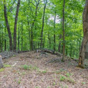 Photo #11 of COMPTONS RD, CASTLETON, VA 5.4 acres