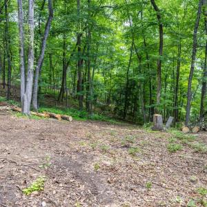Photo #17 of COMPTONS RD, CASTLETON, VA 5.4 acres