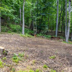 Photo #18 of COMPTONS RD, CASTLETON, VA 5.4 acres