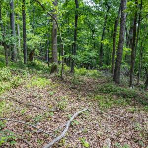 Photo #19 of COMPTONS RD, CASTLETON, VA 5.4 acres