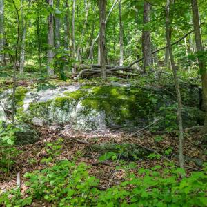 Photo #23 of COMPTONS RD, CASTLETON, VA 5.4 acres