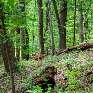 Photo #24 of COMPTONS RD, CASTLETON, VA 5.4 acres