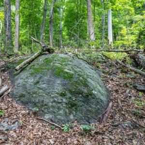 Photo #26 of COMPTONS RD, CASTLETON, VA 5.4 acres