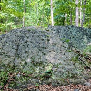 Photo #27 of COMPTONS RD, CASTLETON, VA 5.4 acres