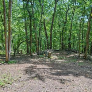 Photo #10 of COMPTONS RD, CASTLETON, VA 5.4 acres