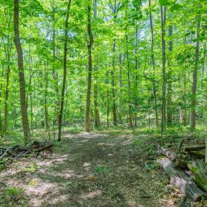 Photo #29 of COMPTONS RD, CASTLETON, VA 5.4 acres