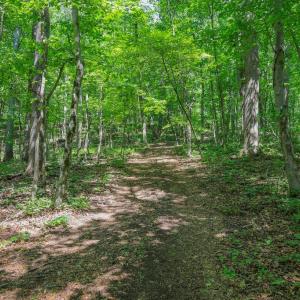 Photo #30 of COMPTONS RD, CASTLETON, VA 5.4 acres