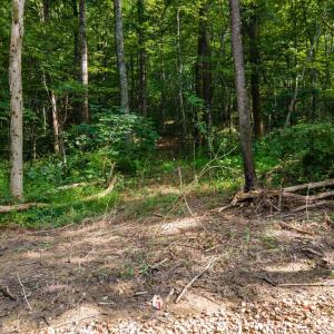 Photo #6 of US HWY 340 S, STANLEY, VA 4.7 acres