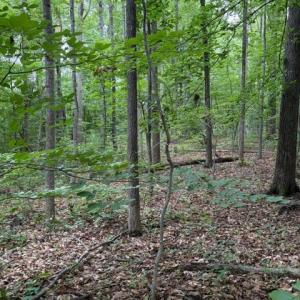 Photo #1 of 15413 DRUMMERS LN, ORANGE, VA 2.5 acres