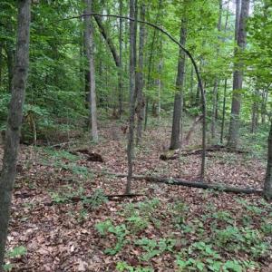 Photo #12 of 15413 DRUMMERS LN, ORANGE, VA 2.5 acres
