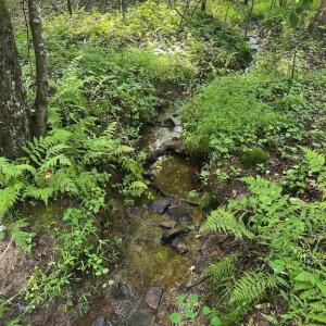 Photo #7 of MOUNT NEBO CHURCH RD, MARSHALL, VA 2.9 acres