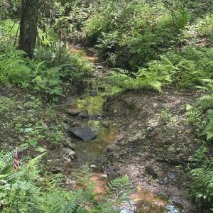 Photo #8 of MOUNT NEBO CHURCH RD, MARSHALL, VA 2.9 acres