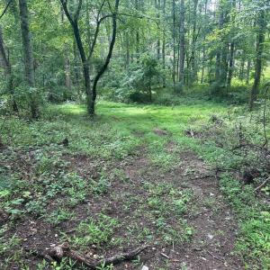 Photo #9 of MOUNT NEBO CHURCH RD, MARSHALL, VA 2.9 acres