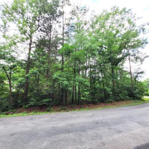 Photo #1 of 400 BATTLEFIELD RD, LOCUST GROVE, VA 0.3 acres