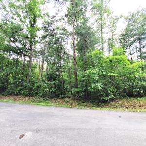 Photo #2 of 400 BATTLEFIELD RD, LOCUST GROVE, VA 0.3 acres