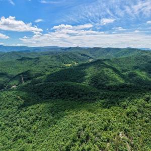 Photo #2 of DOVEL HOLLOW RD, STANLEY, VA 169.4 acres