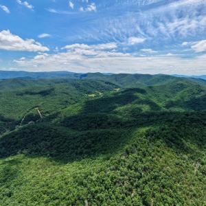 Photo #3 of DOVEL HOLLOW RD, STANLEY, VA 169.4 acres