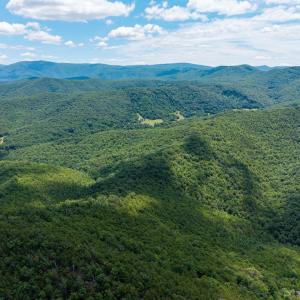 Photo #5 of DOVEL HOLLOW RD, STANLEY, VA 169.4 acres