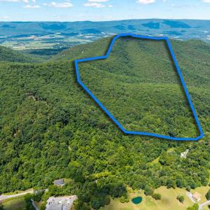 Photo #10 of DOVEL HOLLOW RD, STANLEY, VA 169.4 acres