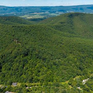 Photo #11 of DOVEL HOLLOW RD, STANLEY, VA 169.4 acres