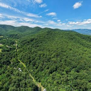 Photo #14 of DOVEL HOLLOW RD, STANLEY, VA 169.4 acres