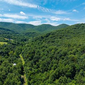Photo #16 of DOVEL HOLLOW RD, STANLEY, VA 169.4 acres