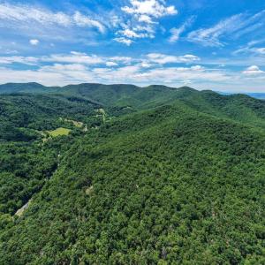 Photo #17 of DOVEL HOLLOW RD, STANLEY, VA 169.4 acres