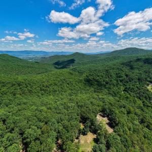 Photo #19 of DOVEL HOLLOW RD, STANLEY, VA 169.4 acres