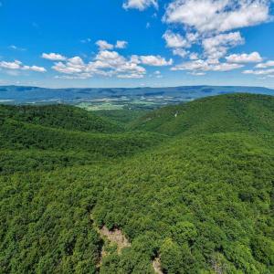 Photo #20 of DOVEL HOLLOW RD, STANLEY, VA 169.4 acres