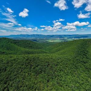 Photo #21 of DOVEL HOLLOW RD, STANLEY, VA 169.4 acres