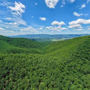 Photo #22 of DOVEL HOLLOW RD, STANLEY, VA 169.4 acres
