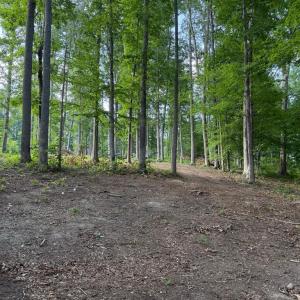 Photo #6 of 268 COMPASS COVE, MINERAL, VA 1.0 acres