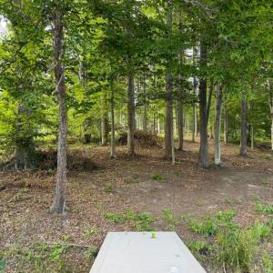 Photo #12 of 268 COMPASS COVE, MINERAL, VA 1.0 acres
