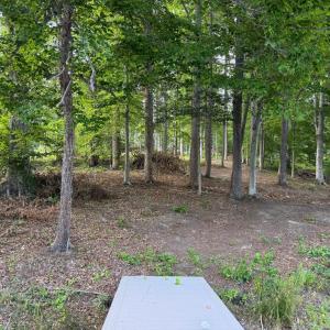 Photo #11 of 268 COMPASS COVE, MINERAL, VA 1.0 acres