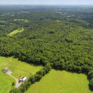 Photo #6 of COUNTRY CREEK LN, AMISSVILLE, VA 14.0 acres